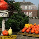 0809F 082 Flandern-Route : oostende